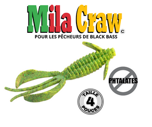 MILA CRAW (pochette de 6)