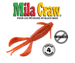MILA CRAW (pochette de 6)